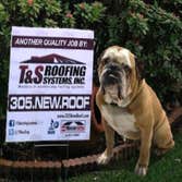 T And S Roofing Systems Inc Project Tile, Metal & Shingle Roofing