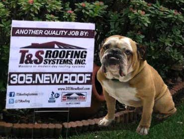 T And S Roofing Systems Inc Project Tile, Metal & Shingle Roofing