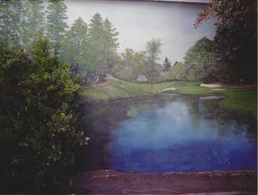 Zees Artistries Llc Dba Project Murals, Faux finishes and kids rooms!