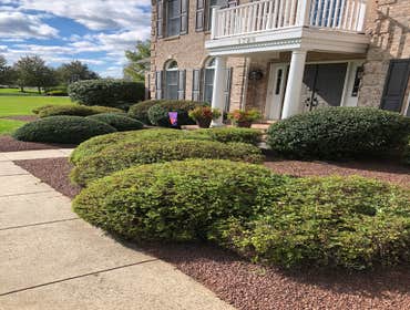 Photos by Ed Francos Simply Green, LLC #1
