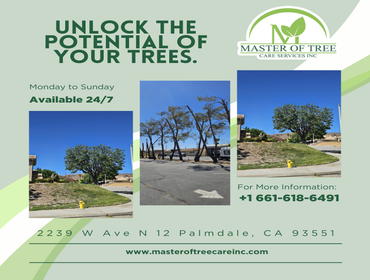 Photos by Master of Tree Care Services Inc #6