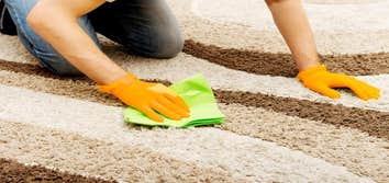 Photos by Carpet Cleaning Monmouth County Nj #1