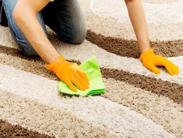 Photos by Carpet Cleaning Monmouth County Nj #1