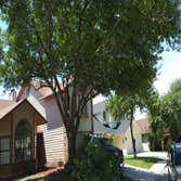 Photos from Julio's Tree Service