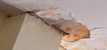 Executive Springfield Water Damage Remediation