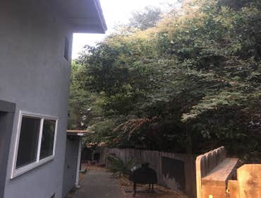Photos by Moreno Tree Service #1