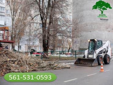 Photos by Acosta Tree Service Inc #9