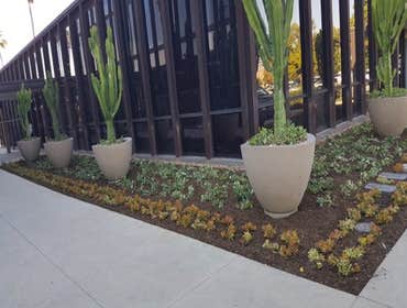 Photos by Palmeras Landscape Services Inc #1