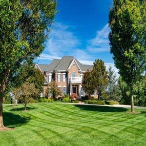 Joe and Tony Landscaping L​L​C