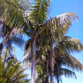 Tree Services Hello!
Here are a few of our tree trimming services we provide.
We guarantee fast and safe trimming, removals and stomp grindings!