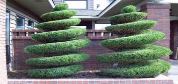 Artistic Treeworks