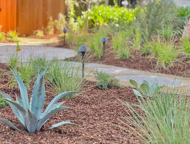 Photos by Bloom & Lawn Landscape Inc #1