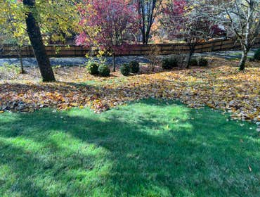 Photos by Garcia's Landscaping Services LLC #16