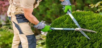 Norman Ok Tree Service