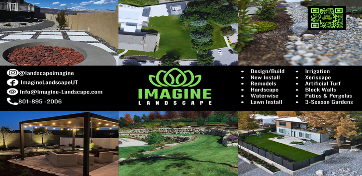 Imagine Landscape