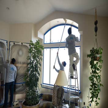 True Coat Painting
