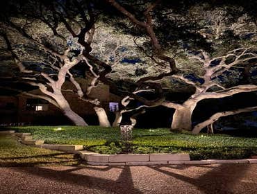 Photos by Bernardy Lighting, LLC #1