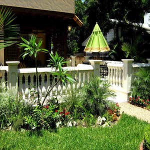 Project photos from Tampa Landscape Design Tampa Landscape Design has been creating fine gardens and outdoor living spaces in Tampa Bay for many...