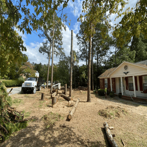 Photos by Tarhill Tree Service Fayetteville #1