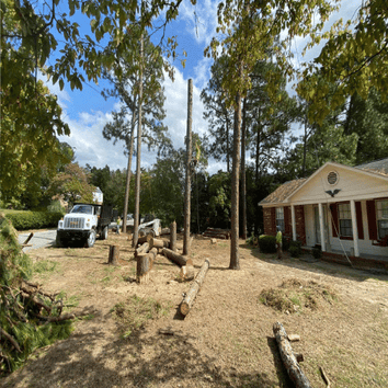Photos by Tarhill Tree Service Fayetteville #1