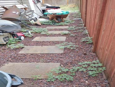 Photos by Mar Landscaping & Construction Inc #14