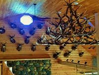 Photos by Felan and Sons Painting #1