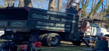 Photos by Cabral Tree & Construction Inc #4