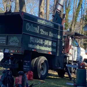 Photos by Cabral Tree & Construction Inc #4