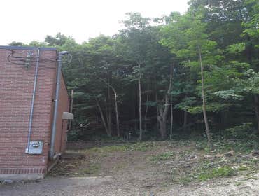 Photo(s) from Freeman The Treeman