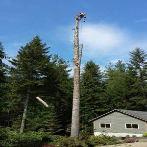 Photo(s) from Justin L Foss Tree Service