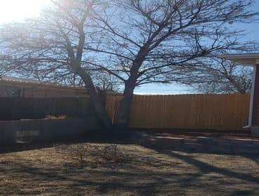 Photos by United Tree Service #1