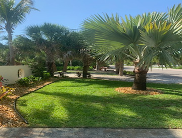 Photos by B&c Fruit Trees & Landscape LLC #1