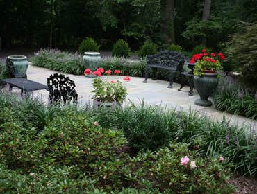 Landscaping Along Walkway