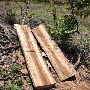 Photos by Scott's Stump Grinding and Tree Service #1