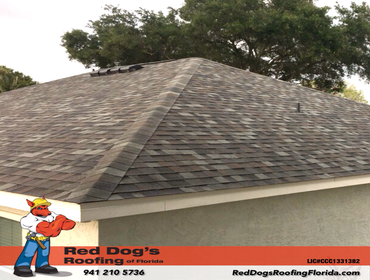 Photos by Red dog's Roofing of Florida #1