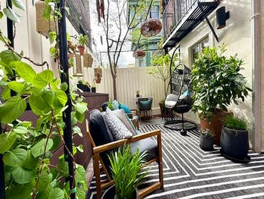 Photos by Rowhouse Growhouse #1