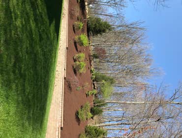Photos by M. Jayson Lawn Care, LLC #1