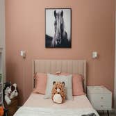 Mid-Century Modern A mid-century inspired room for an animal loving pre-teen.