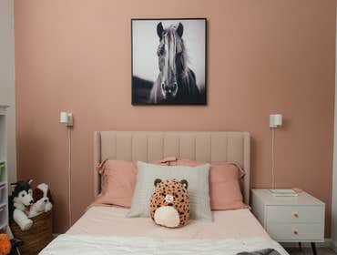 Mid-Century Modern A mid-century inspired room for an animal loving pre-teen.