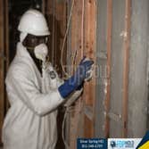 FDP Mold Remediation of Silver Spring