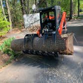 Photos by Marco Professional Tree Services #1