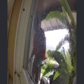 Bull's Eye Pest Control