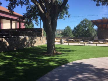 Photos by NorCal Easy Green Synthetic Lawn #1