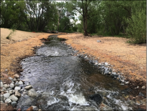 Photos by Frontier Enviromental Services #1