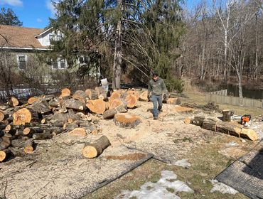 Photos by Willy's Landscaping #5