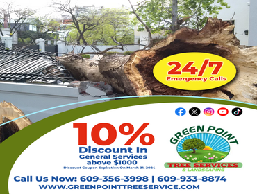 Photos by Green Point Tree Services & Landscaping #10