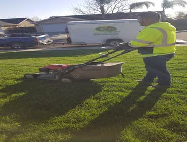 Photos by Dangi´s Landscaping and Tree Services #2