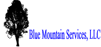 Blue Mountain Services