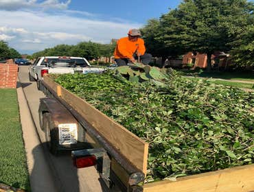 Photos by K-perez Tree Services #1