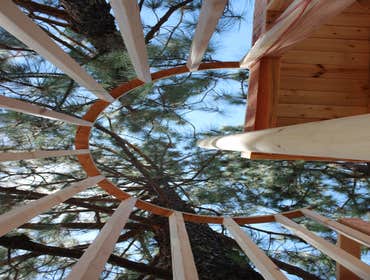 Treehouse spiral staircase